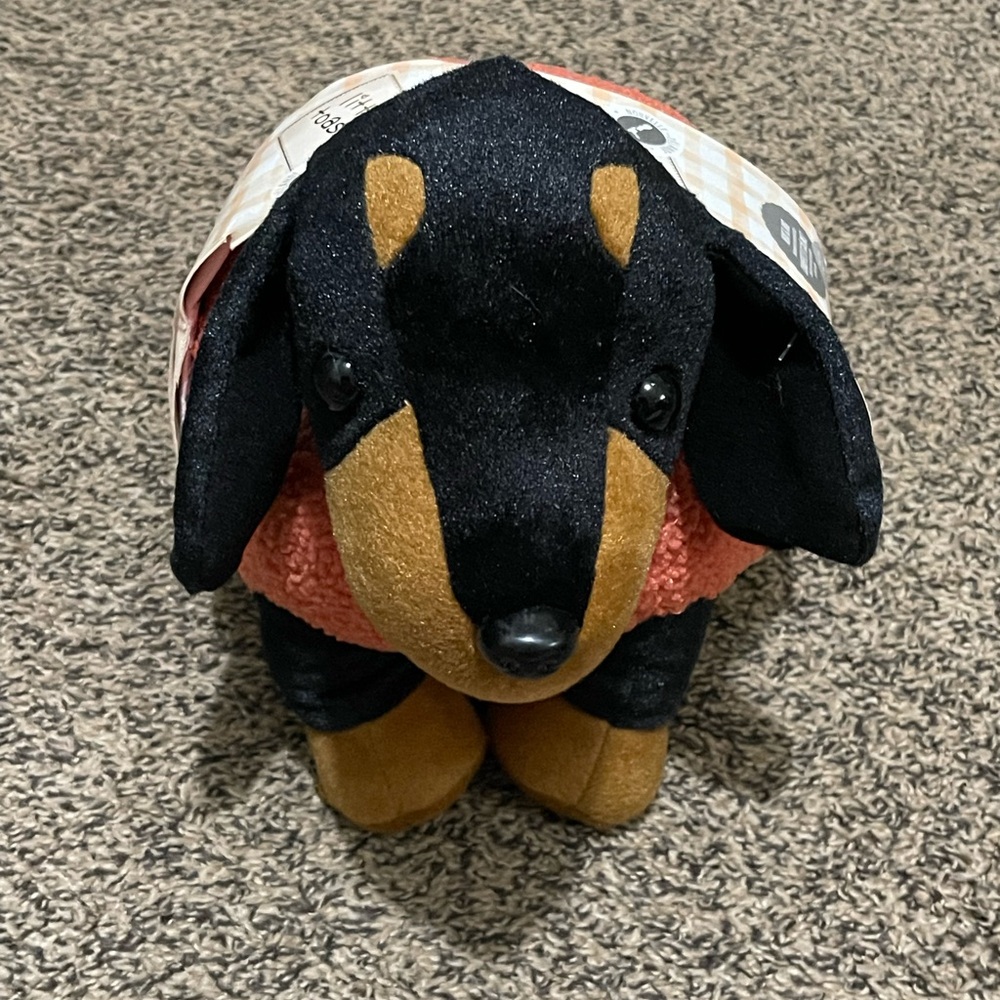 Dachshund little toasties